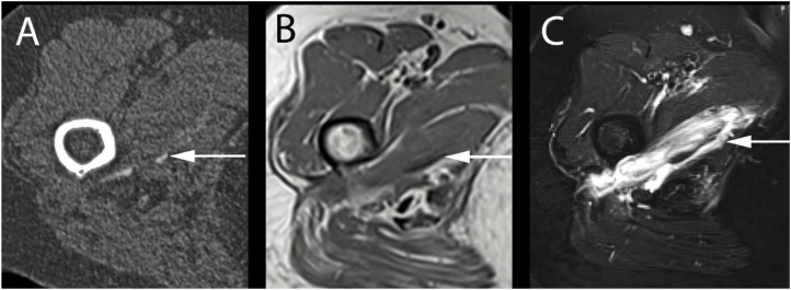 Fig. 7