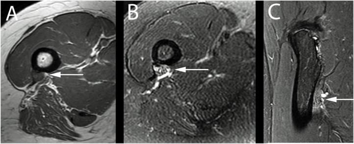 Fig. 9