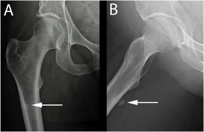 Fig. 8