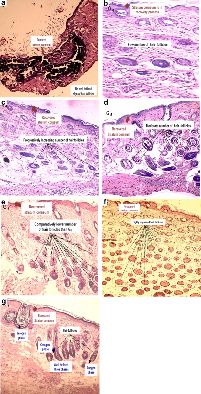 Fig. 11