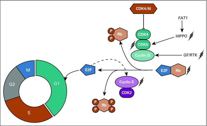 FIG 1.