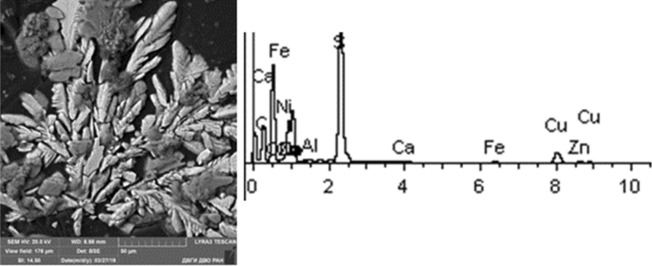 Figure 10