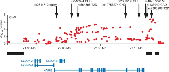 Figure 1.