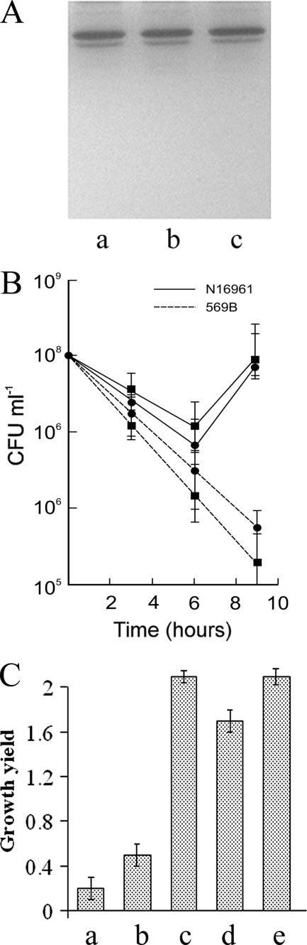 FIG. 6.