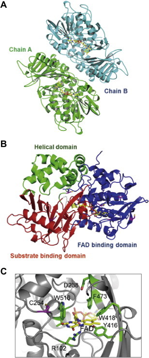 Fig. 4