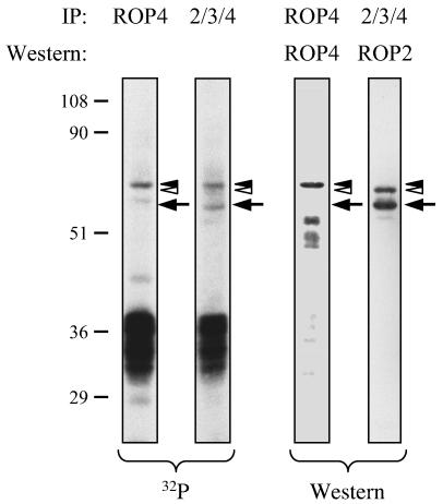 FIG. 9.