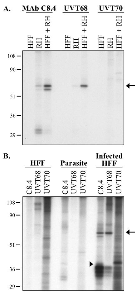 FIG. 7.