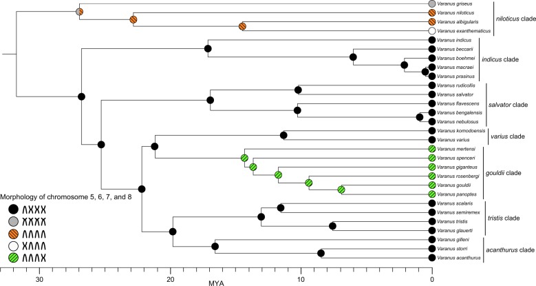 Fig. 4