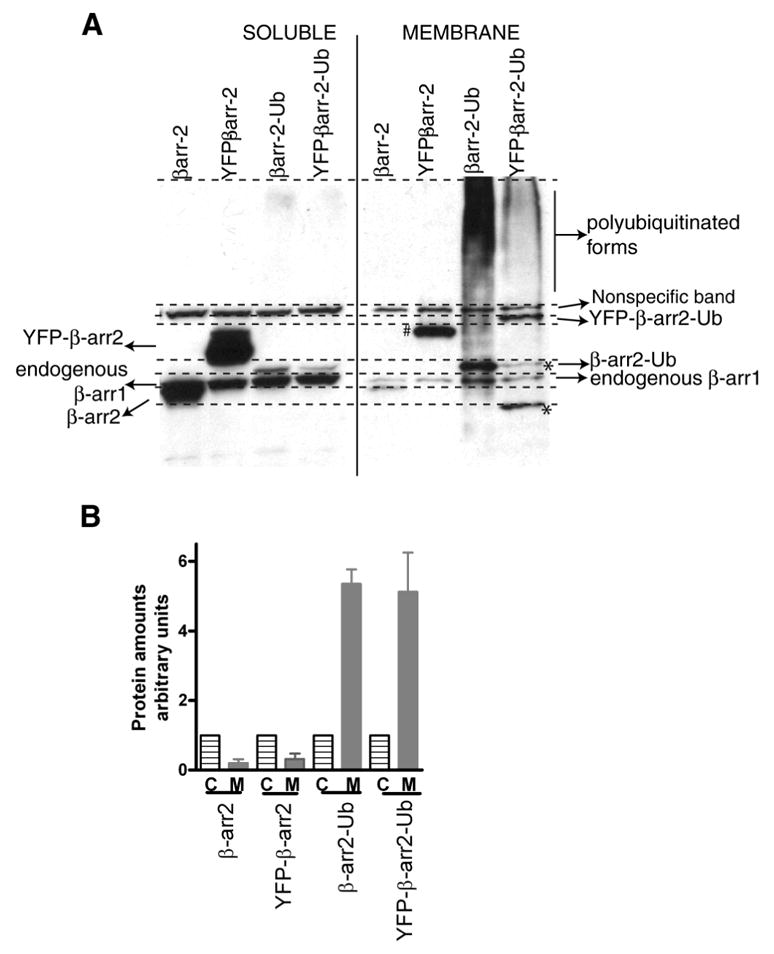 Fig 13