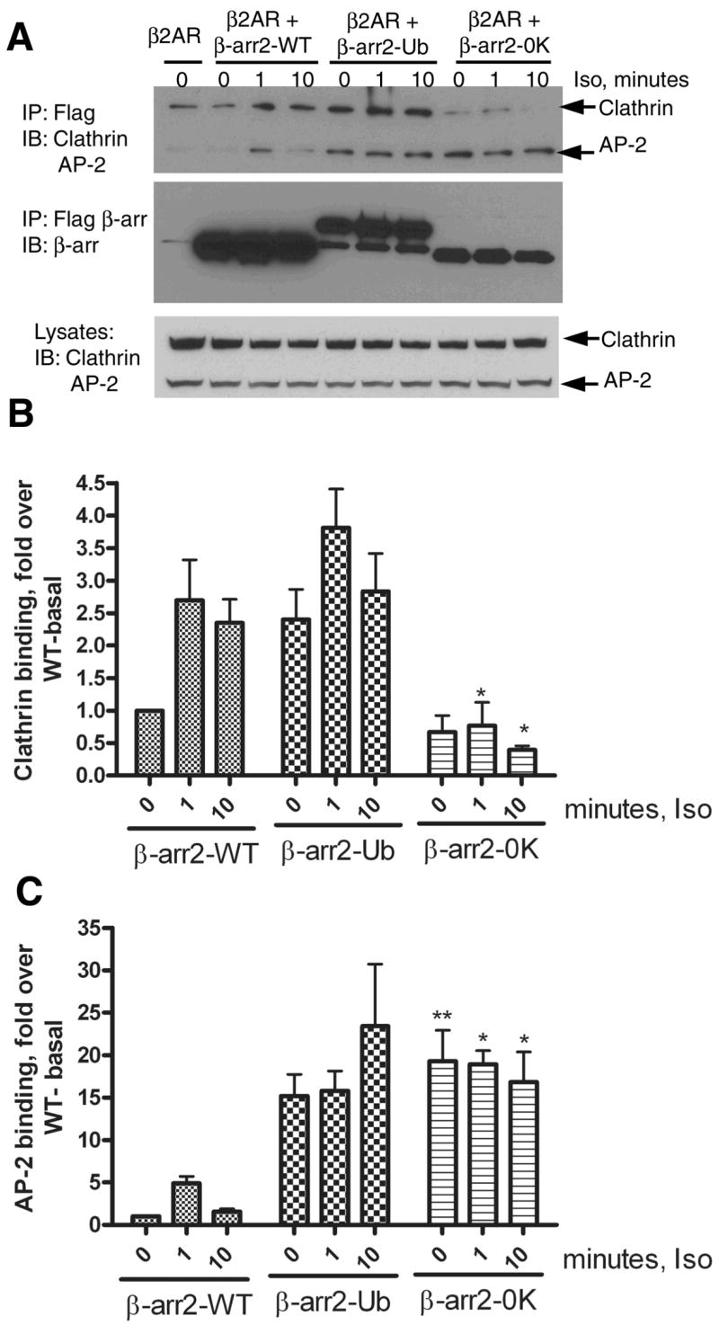 Fig 8