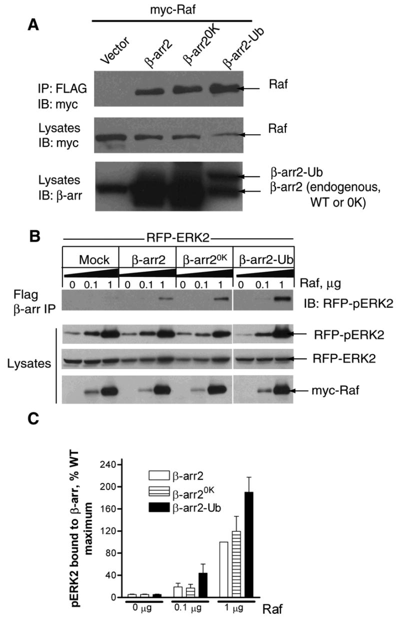 Fig 9