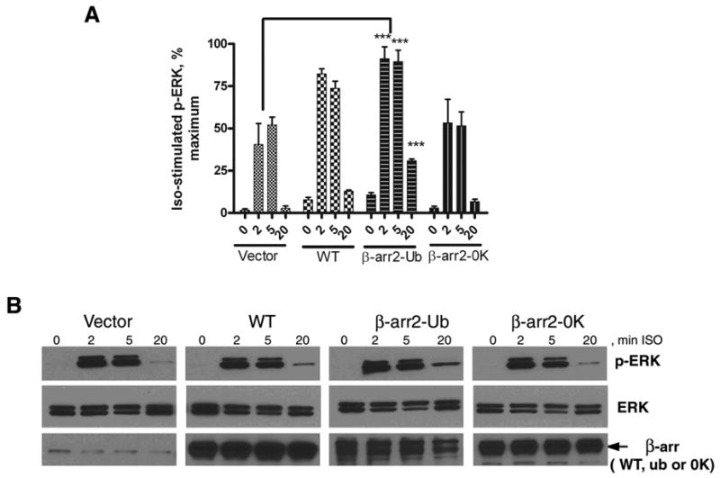 Fig 12