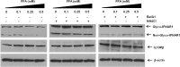 Fig 9