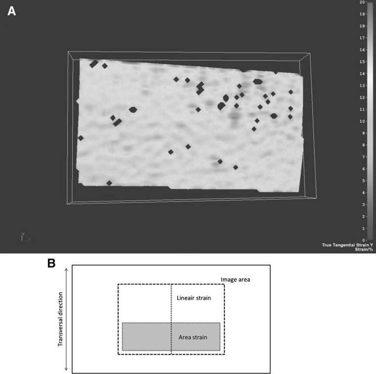 Fig. 5