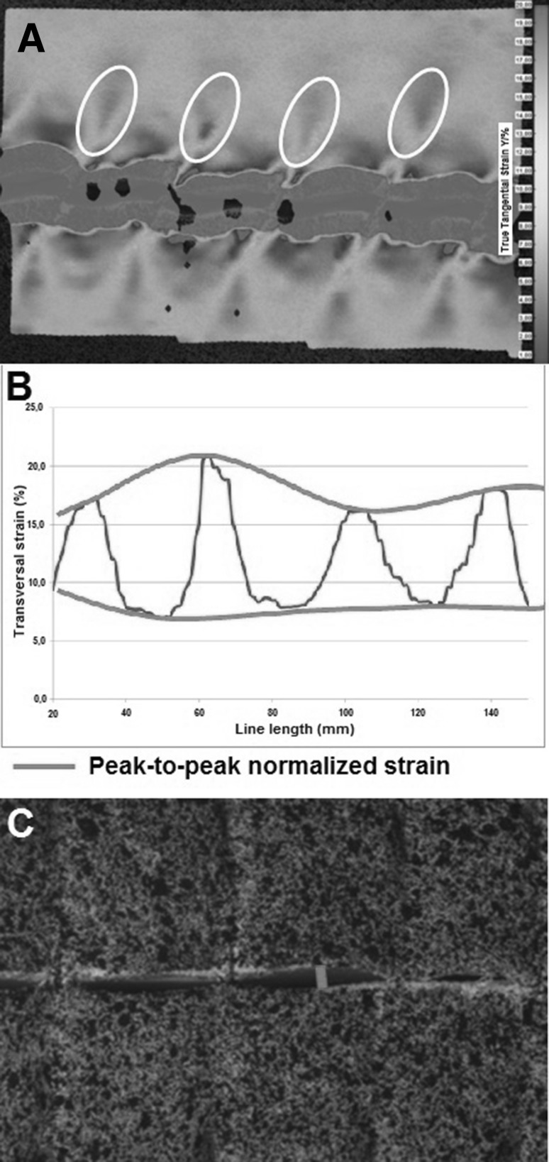 Fig. 6