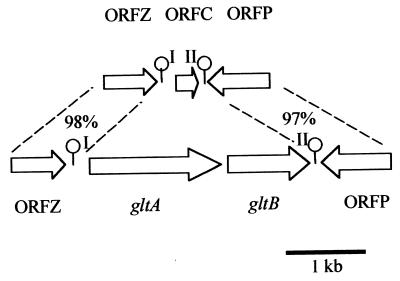 FIG. 6