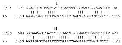 FIG. 7