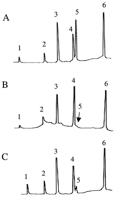 FIG. 3