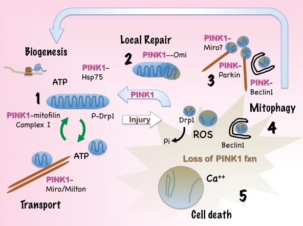 Figure 3.