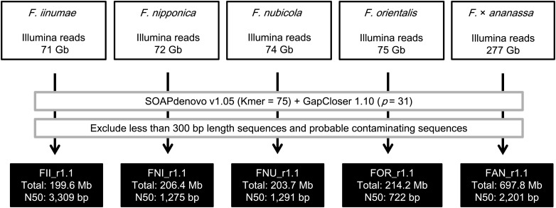 Figure 2.