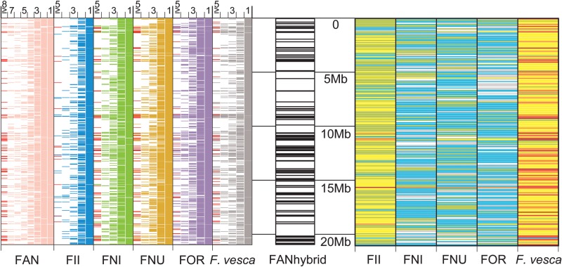 Figure 3.