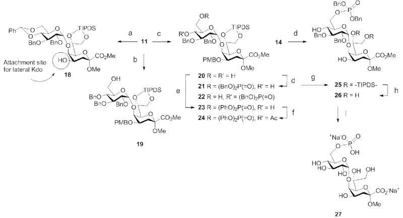 Scheme 3