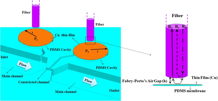 FIG. 1.