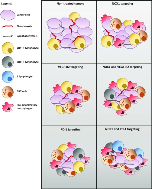 Figure 7.