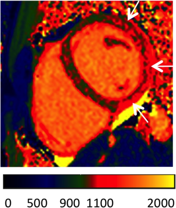 Fig. 5