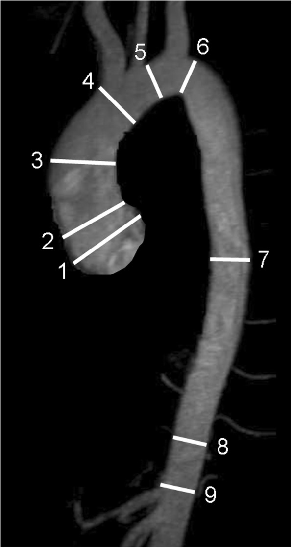 Fig. 10