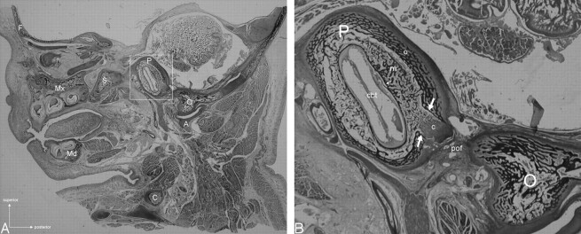 Fig 3.