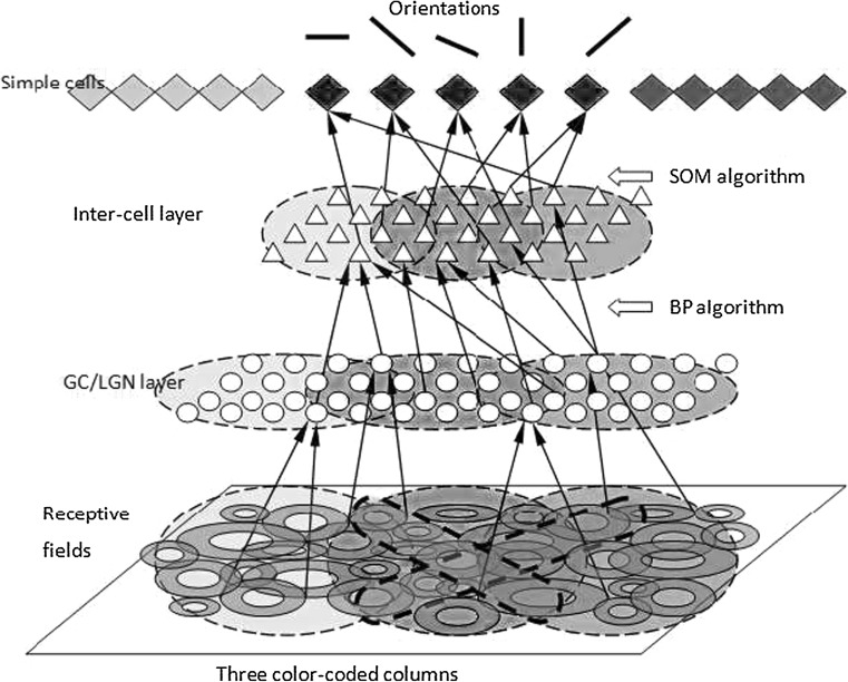 Fig. 17