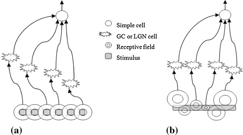 Fig. 1