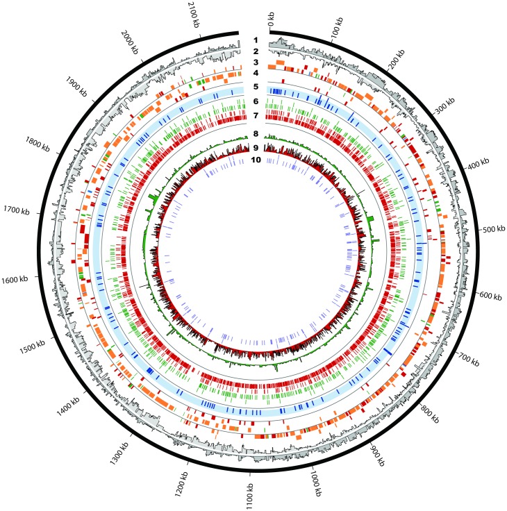 Fig 2