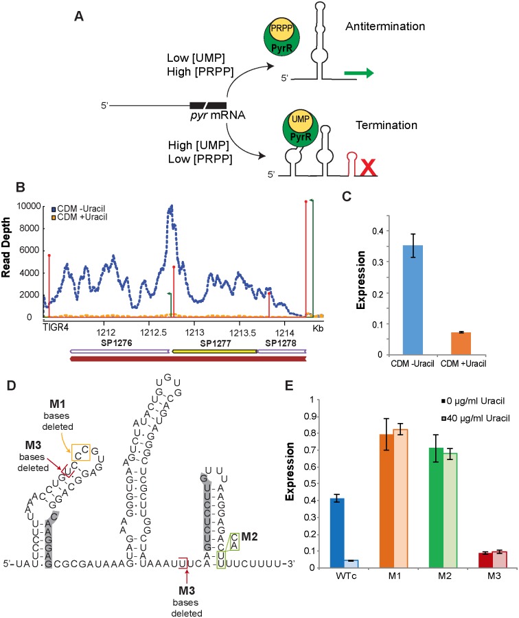 Fig 6