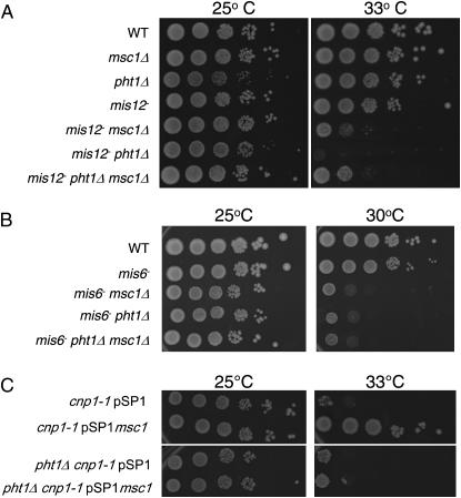 Figure 5.—