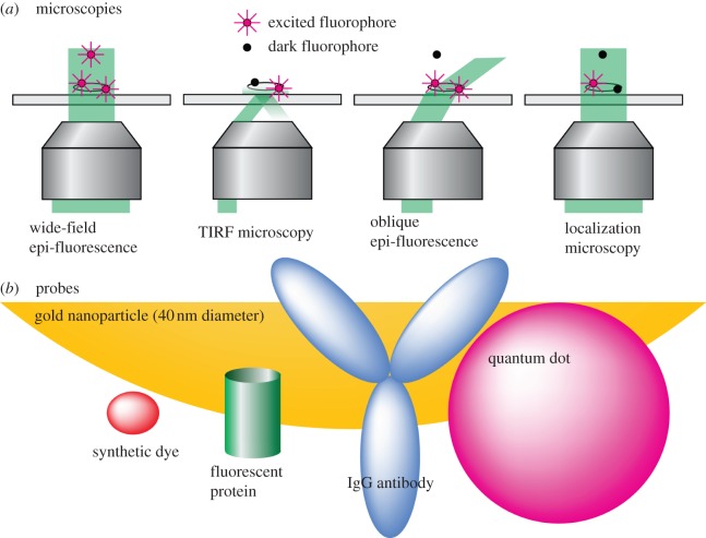 Figure 1.