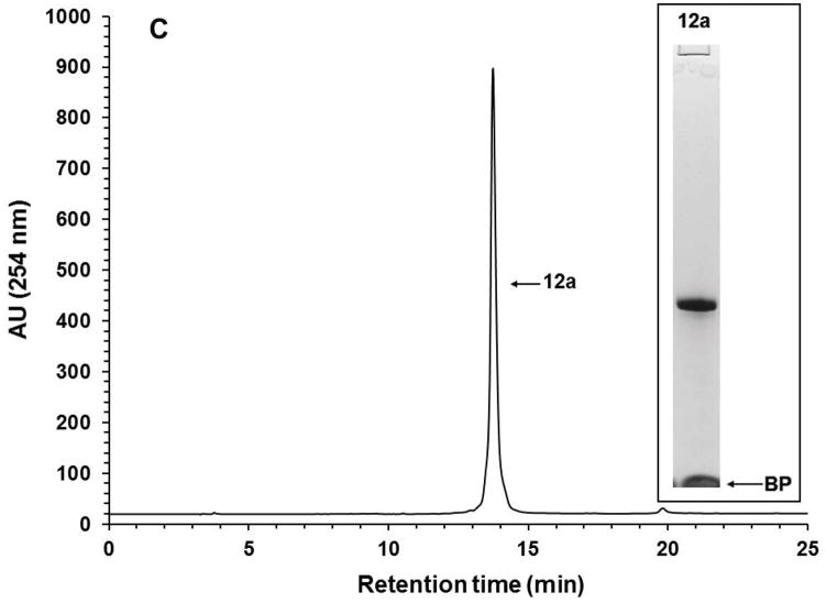 Figure 12