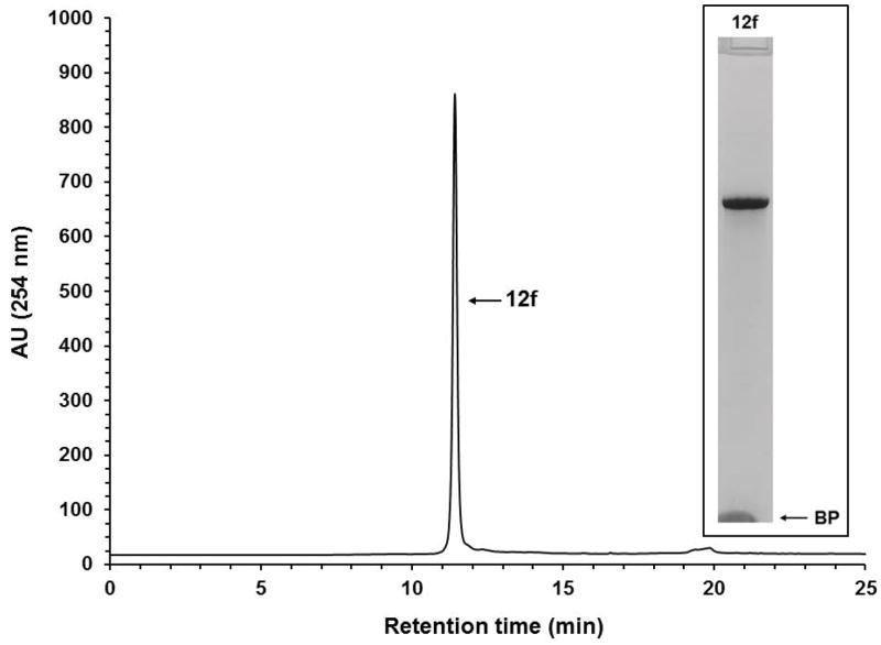 Figure 11