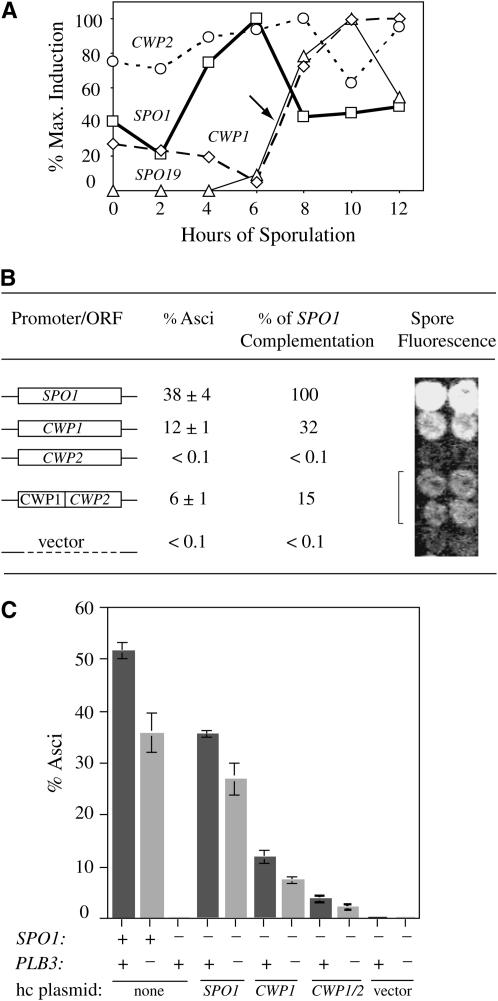 Figure 6.—