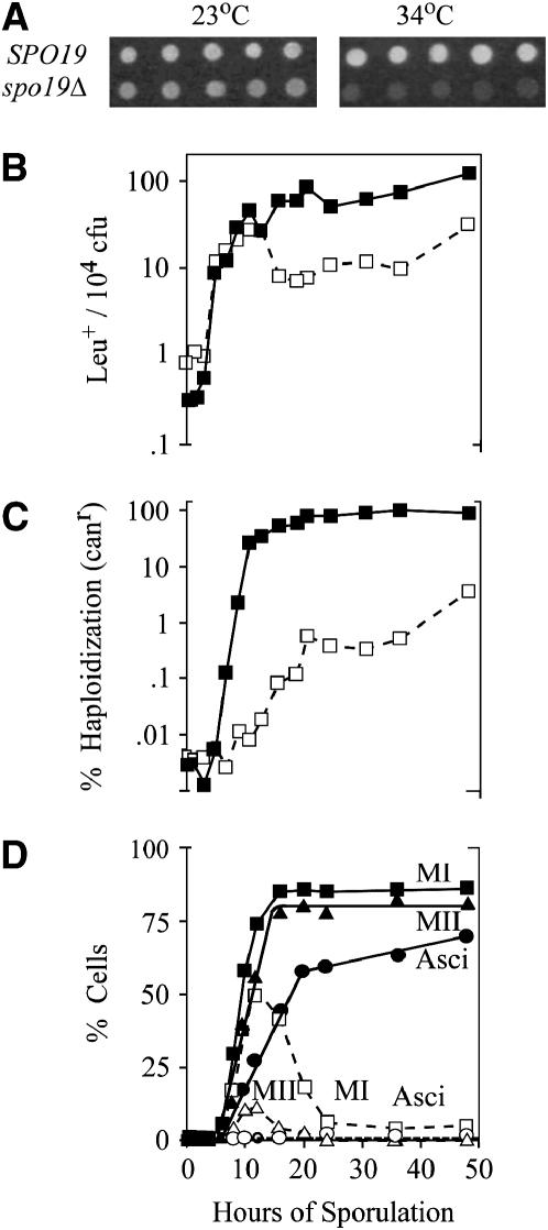 Figure 5.—