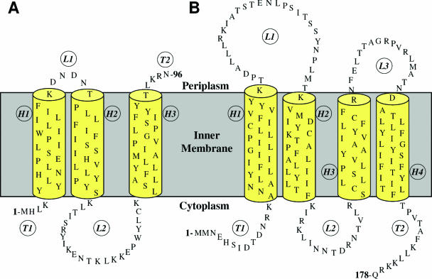 FIG. 20.