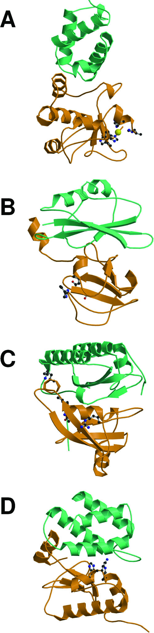 FIG. 21.