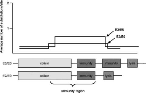 FIG. 24.