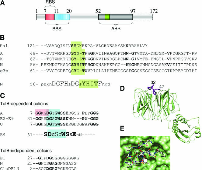 FIG. 8.