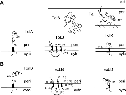 FIG. 6.