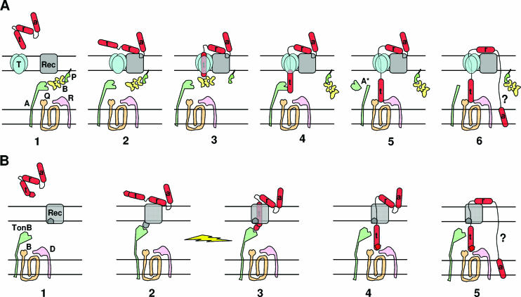 FIG. 13.