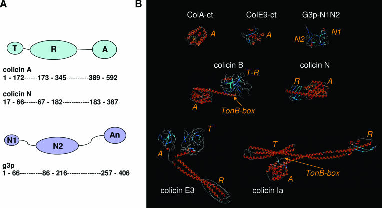 FIG. 4.