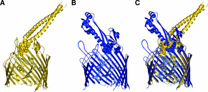 FIG. 5.