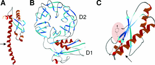 FIG. 7.